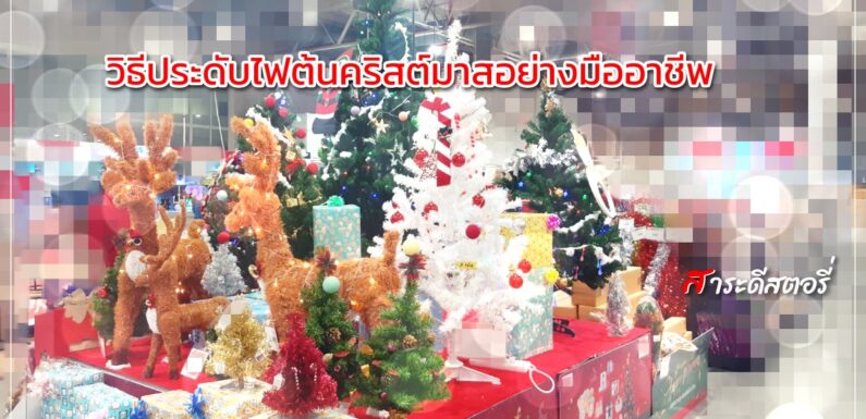 วิธีประดับไฟต้นคริสต์มาสอย่างมืออาชีพ
