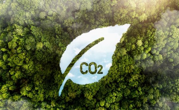 carbon-footprint